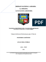 PDF Tesis Arandano Compress