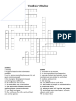 Vocabulary Review - Crossword Puzzle