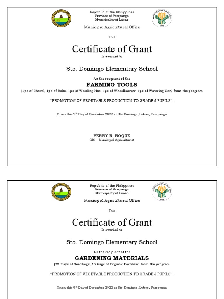 Sto. Domingo Elementary School Grants | PDF