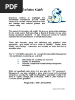 Ratio Calculation Guide: CAMEL Rating