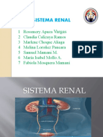 Sistema Renal