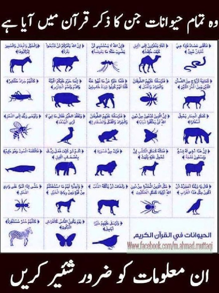 Animals in Quran PDF