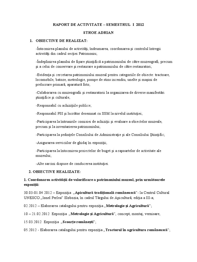 Raport de Activitate | PDF