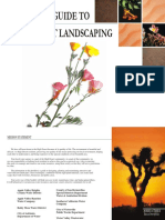 A Guide To High Desert Landscaping - Compressed