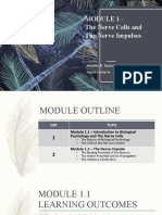 Module 1 - The Nerve Cells and The Nerve Impulses