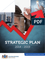 DED Strategy Plan 2014 - 15 2018 - 19