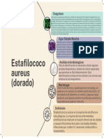 Estafilococo Aureus (Dorado)