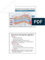 Histología Aparato Digestivo y Glándulas Anejas - Anatomía II