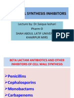 Penicillins and Other Beta Lactam Antibiotics