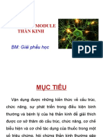 Buổi 1. GIỚI THIỆU MODULE-CẤU TRÚC TKTW