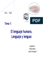 1 - El Lenguaje Humano1