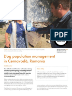 Dog population management in Cernavodă, Romania