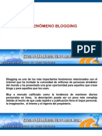 El Fenomemo Blogging