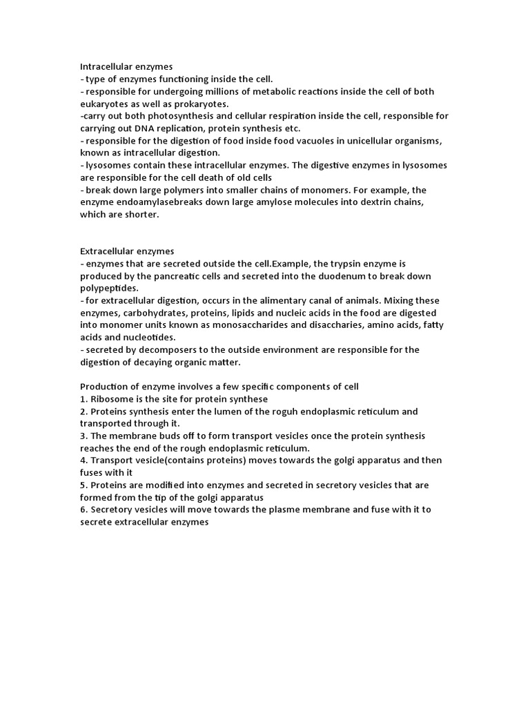 Intracellular Enzymes and Extracellular Enzymes PDF Cell (Biology