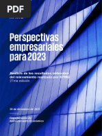 Perspectivas Empresariales 2023