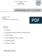 Neoplasias Primarias de Pulmón