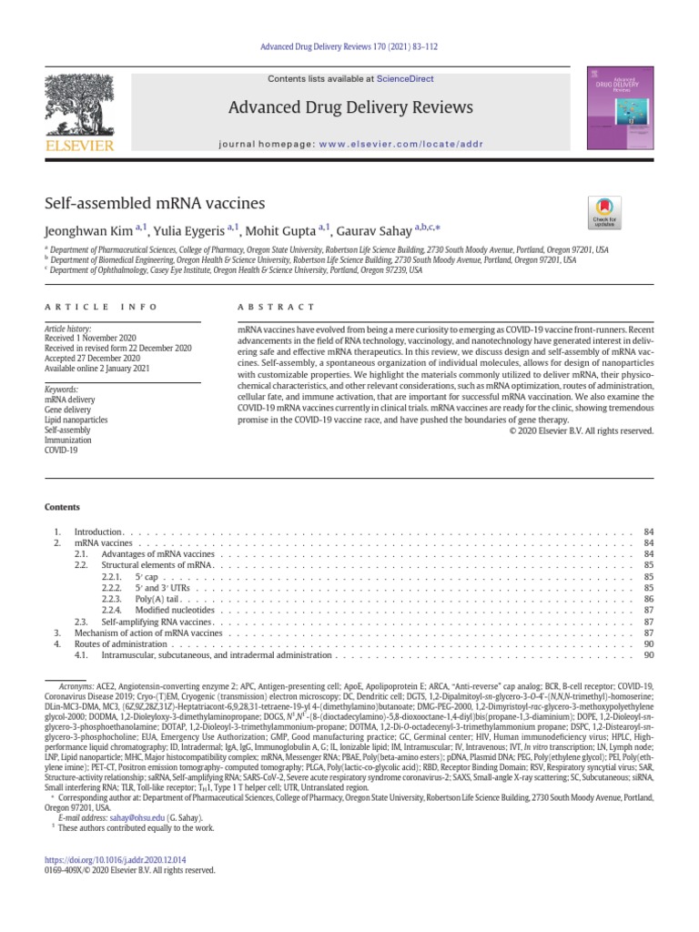 MRNA Study | PDF | Messenger Rna | B Cell