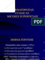 23205143 Dermatologia Veterinaria Micologia Cutanea