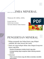 Biokimia Mineral1