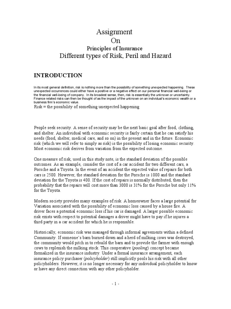Assignment On Different Types of Risk, Peril and Hazard PDF Market Liquidity Risk