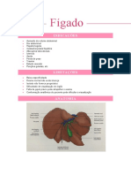 Ultrassonografia do Fígado: Anatomia, Técnica e Achados