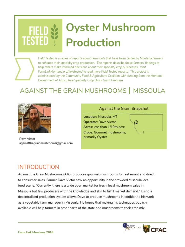 Oyster Mushroom Production | PDF | Mushroom | Sterilization (Microbiology)
