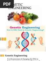 Genetically Modified Organisms - q2m10