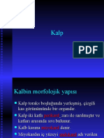 Dolaşim Si̇stemi̇ (II) Kalp