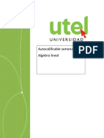 Autocalificable Semana 2 Algebra