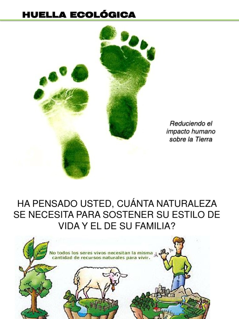 Cómo Reducir la Huella Ecológica | PDF | Agua | Entorno natural