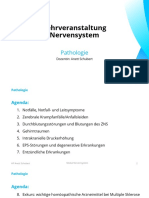 Nervensystem Pathologie