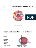 Examenul Segmentului Posterior - DR - Branisteanu