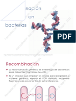 2.7 Recombinacion