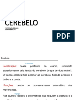 Cerebelo: estrutura e funções