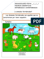 Actividad Fonoaudiologia Retos Múltiples Los Animales Vertebrados e Invertebrados.