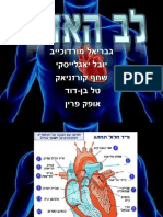 מערכות- לב והובלה