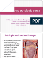 Szczegółowa Patologia Serca 2