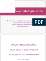 Szczegółowa Patologia Serca CZ 3