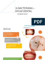 Bio Film