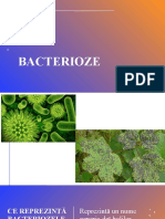 Viroze sau Bacterioze