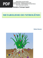 Aulas 3 e 4 - Metabolismo do Nitrogênio - Agronomia