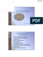 Anatomia da Madeira: Estruturas Especiais