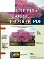 Arbol de Vida - Lunes - 08.01