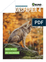 2020_Wolf_Positionspapier_Inhalte_klein