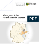 Sachsen Wolfs Managementplan