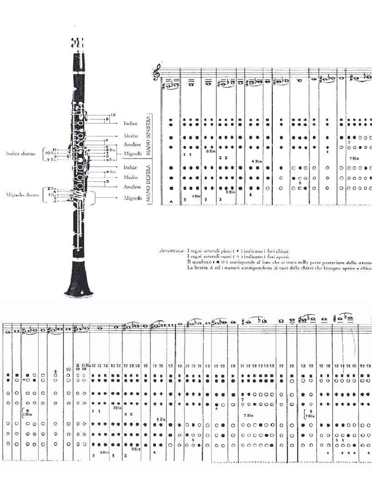 Diagramma di diteggiatura per clarinetto, poster di accordi per clarinetto portatile squisito per l'aula per la stanza della banda(Foglio di accordi per clarinetto (tromba