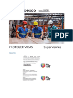 Proteger Vidas - Supervisores