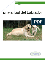 Manual Del Labrador