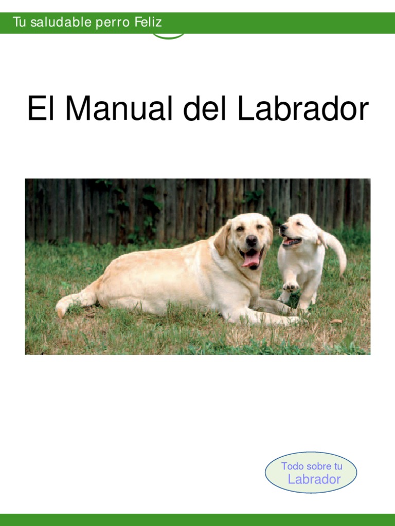 Guía Del Labrador Retriever
