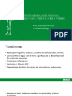 Pseudomona, H. Pylori, Vibrio